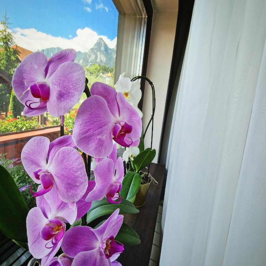 Amor Tirol Busteni (Adults Only) Exterior foto