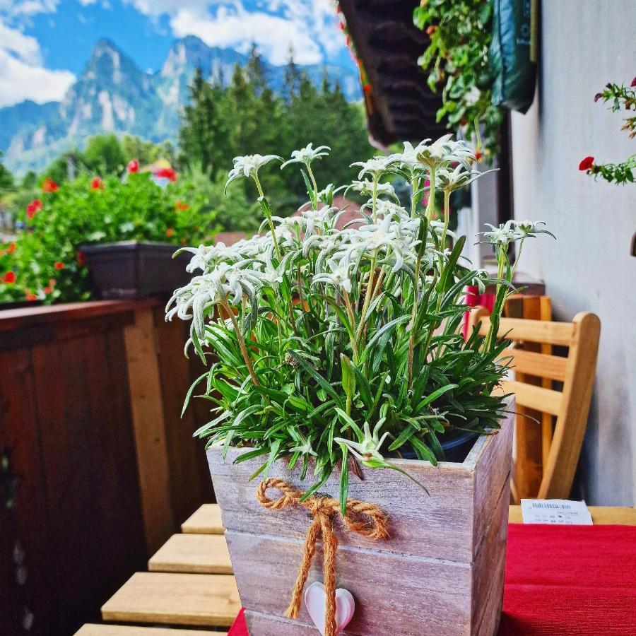 Amor Tirol Busteni (Adults Only) Exterior foto