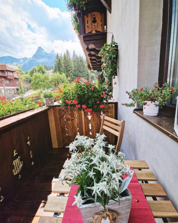 Amor Tirol Busteni (Adults Only) Exterior foto