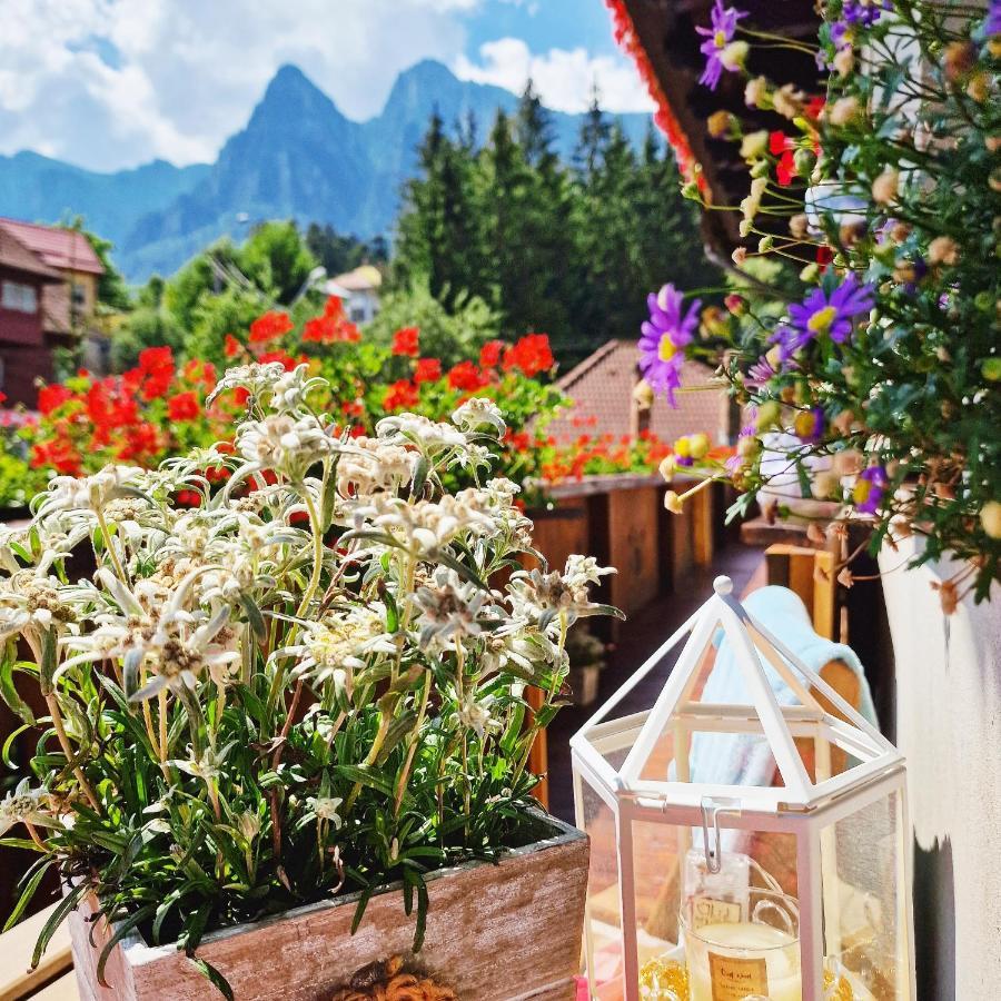 Amor Tirol Busteni (Adults Only) Exterior foto