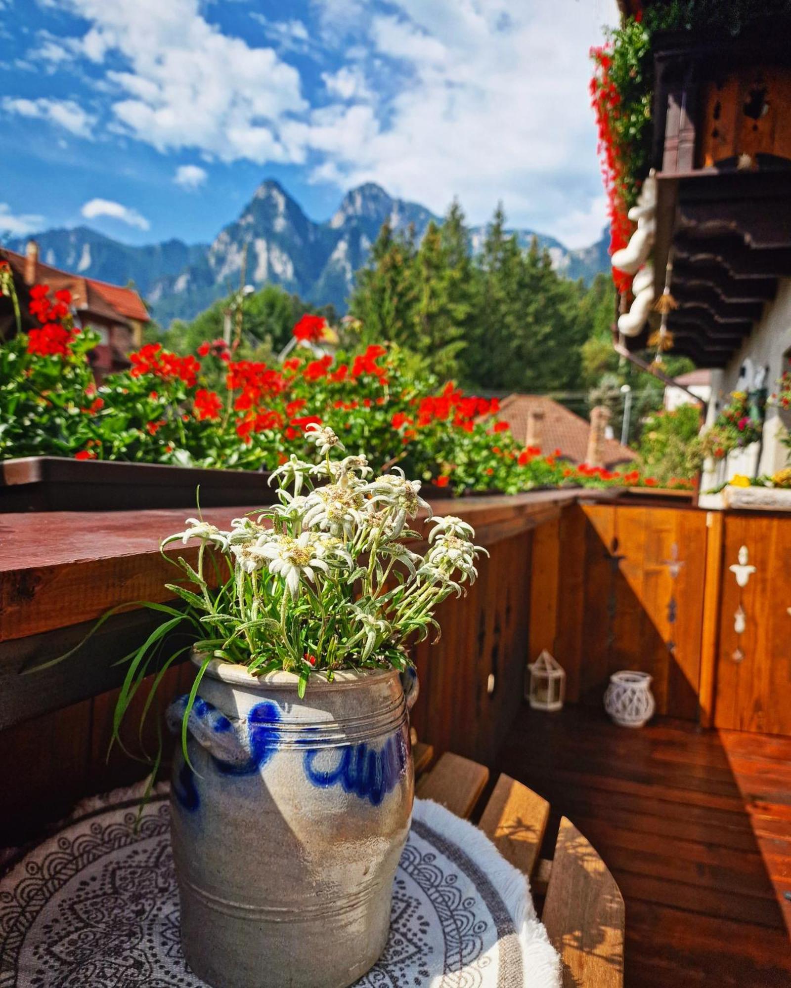 Amor Tirol Busteni (Adults Only) Exterior foto